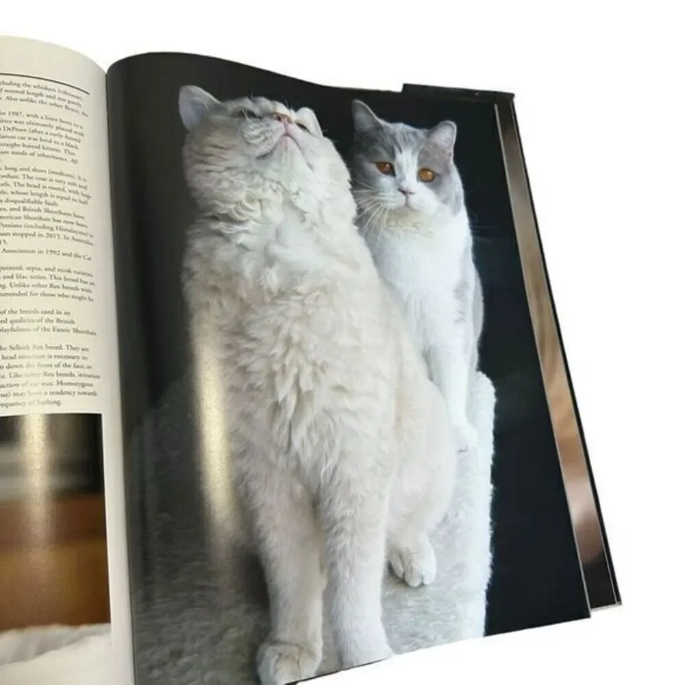 N/A interior book